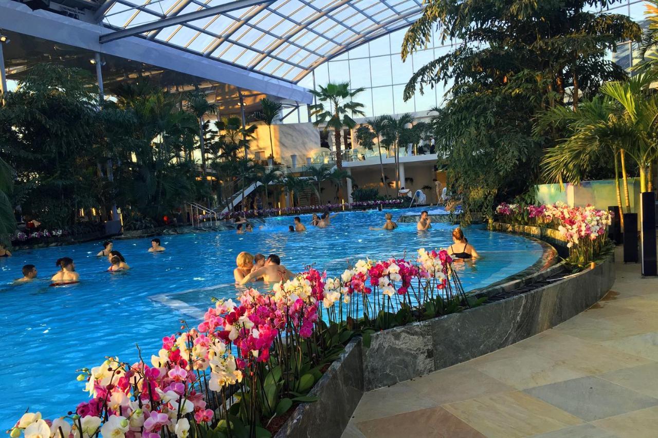 באלוטשטי Kopel Haus - Studio - Self Acces Cod Location מראה חיצוני תמונה